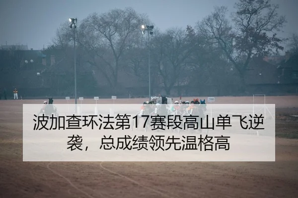 bo-jia-cha-huan-fa-di-sai-duan-gao-shan-dan-fei-ni-xi-zong-cheng-ji-ling-xian-wen-ge-gao-3-272.jpg